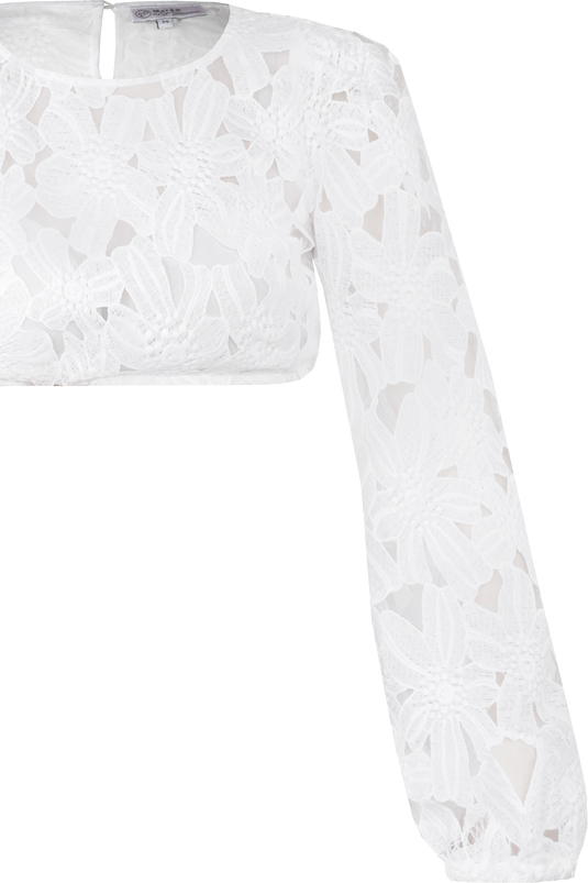 _OFFWHITE