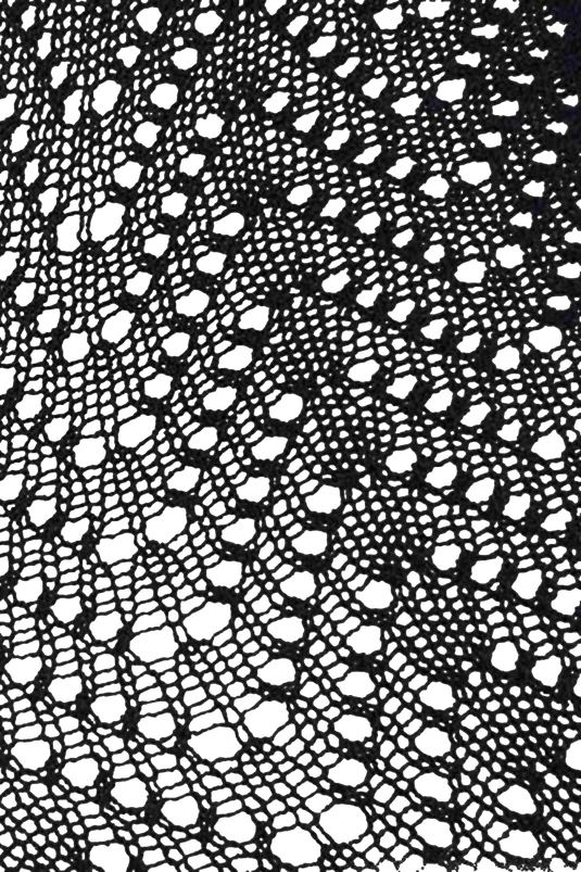 _06 - NAVY 555