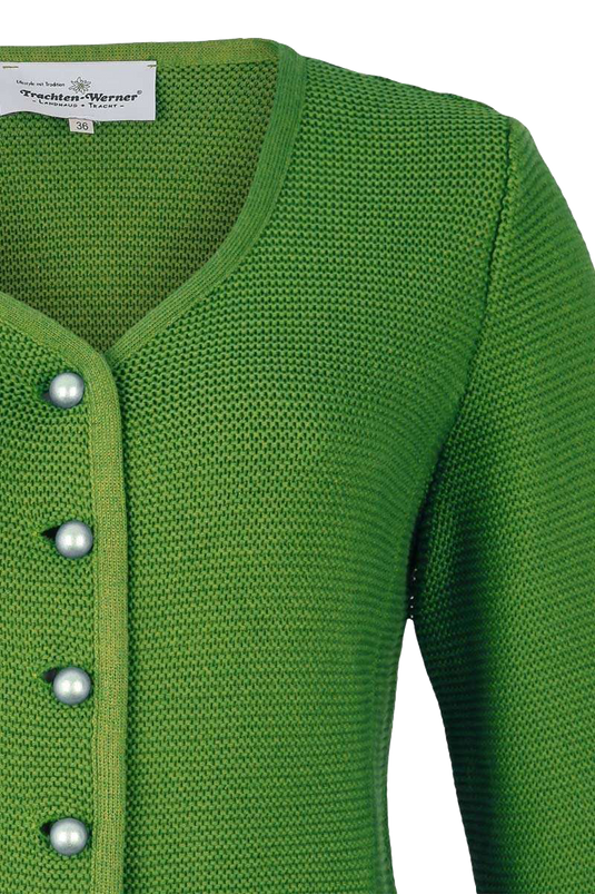 _465-STEIRISCH GRÜN