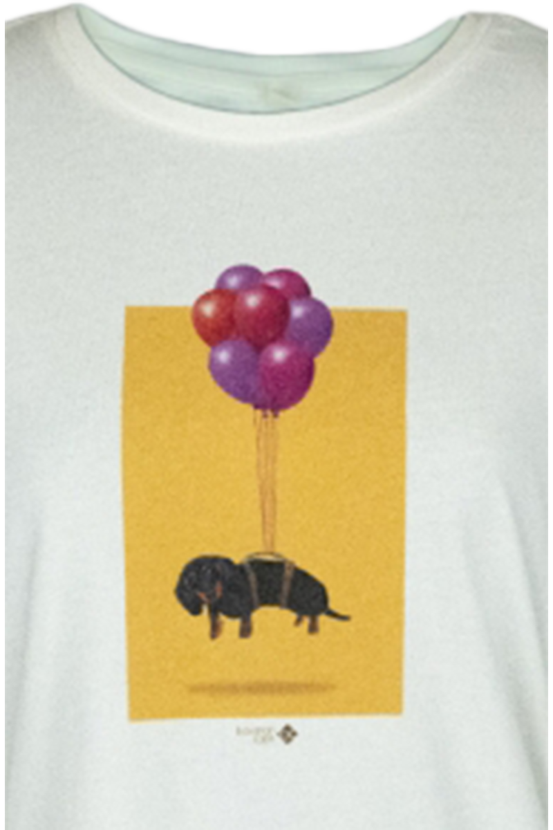 Damen T-Shirt 'Dackel Express' gelb Bild 2
