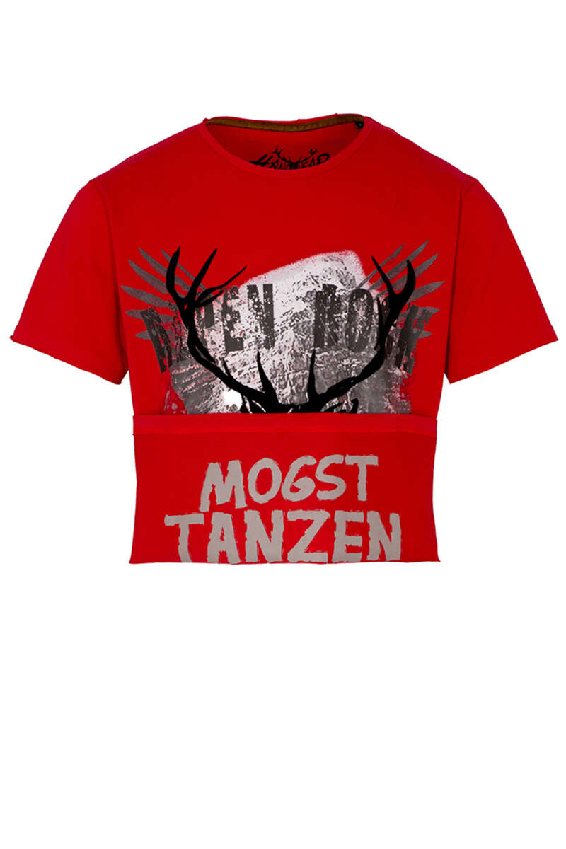 Herren Stretch T-Shirt 'Alpen Rock' rot Bild 2