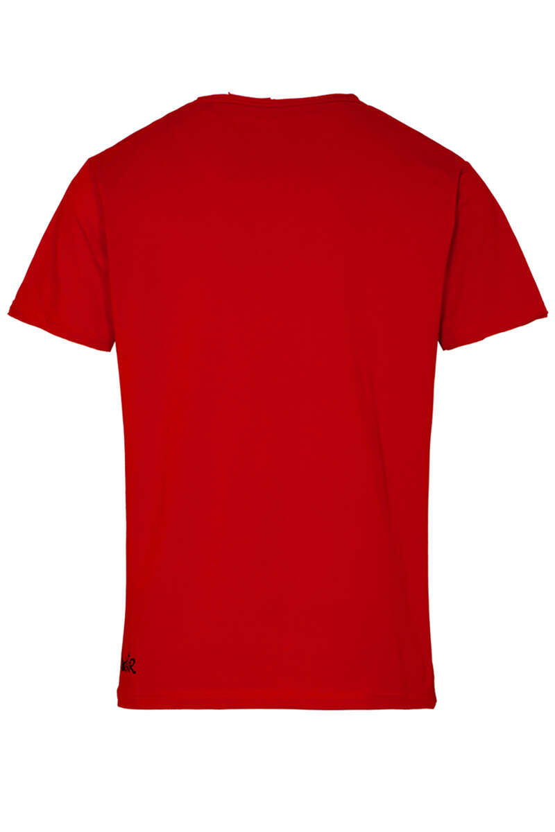 Herren Stretch T-Shirt 'Alpen Rock' rot Bild 2