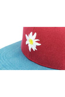 Snapback-Cap mit Edelweiss rot blau