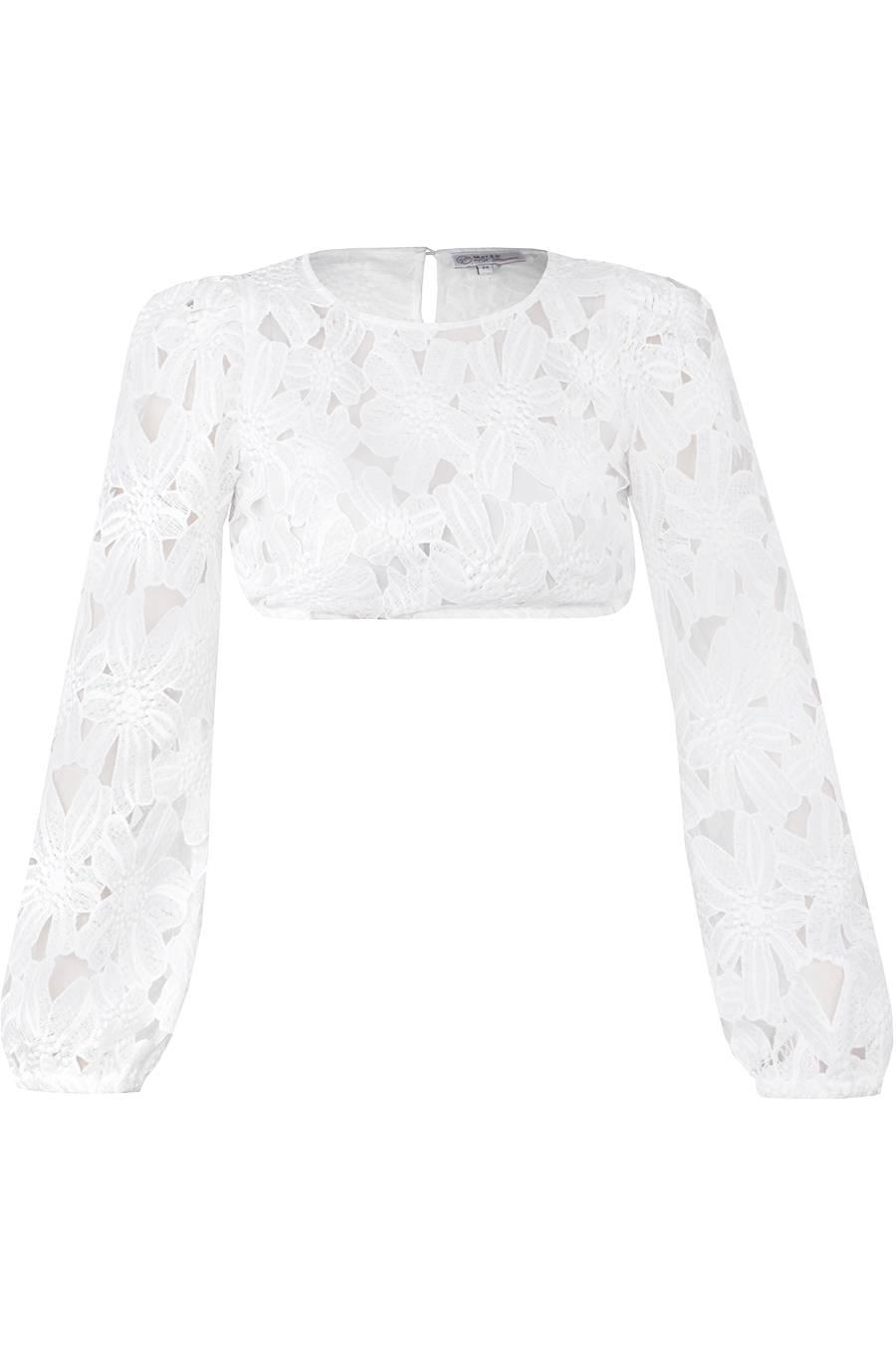 OFFWHITE