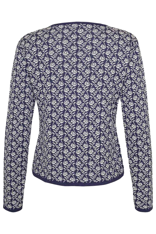 _49-BLAU