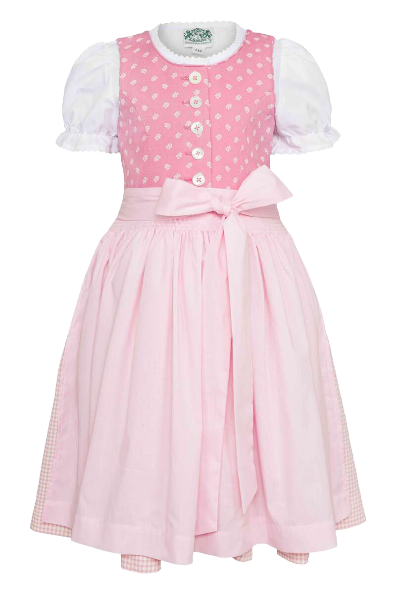 31-ROSA